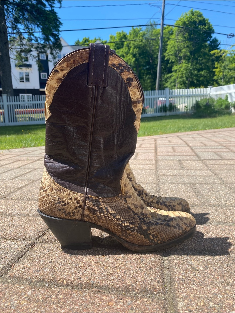 Women’s Two-Tone Brown & Tan Snake Skin Western Boots
